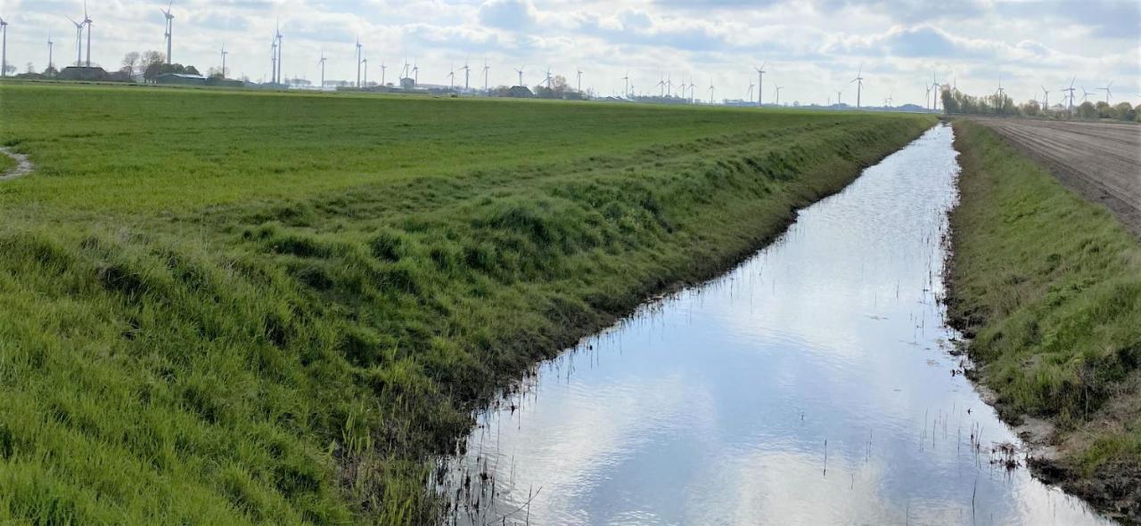 Appartement 1 Mit Kueche Und Neuem Bad, Frisch Saniert Friedrichskoog Exteriér fotografie
